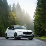 Weißer Škoda Fabia 130 Sondermodell mit schwarzen Akzenten auf einer Landstraße im Wald