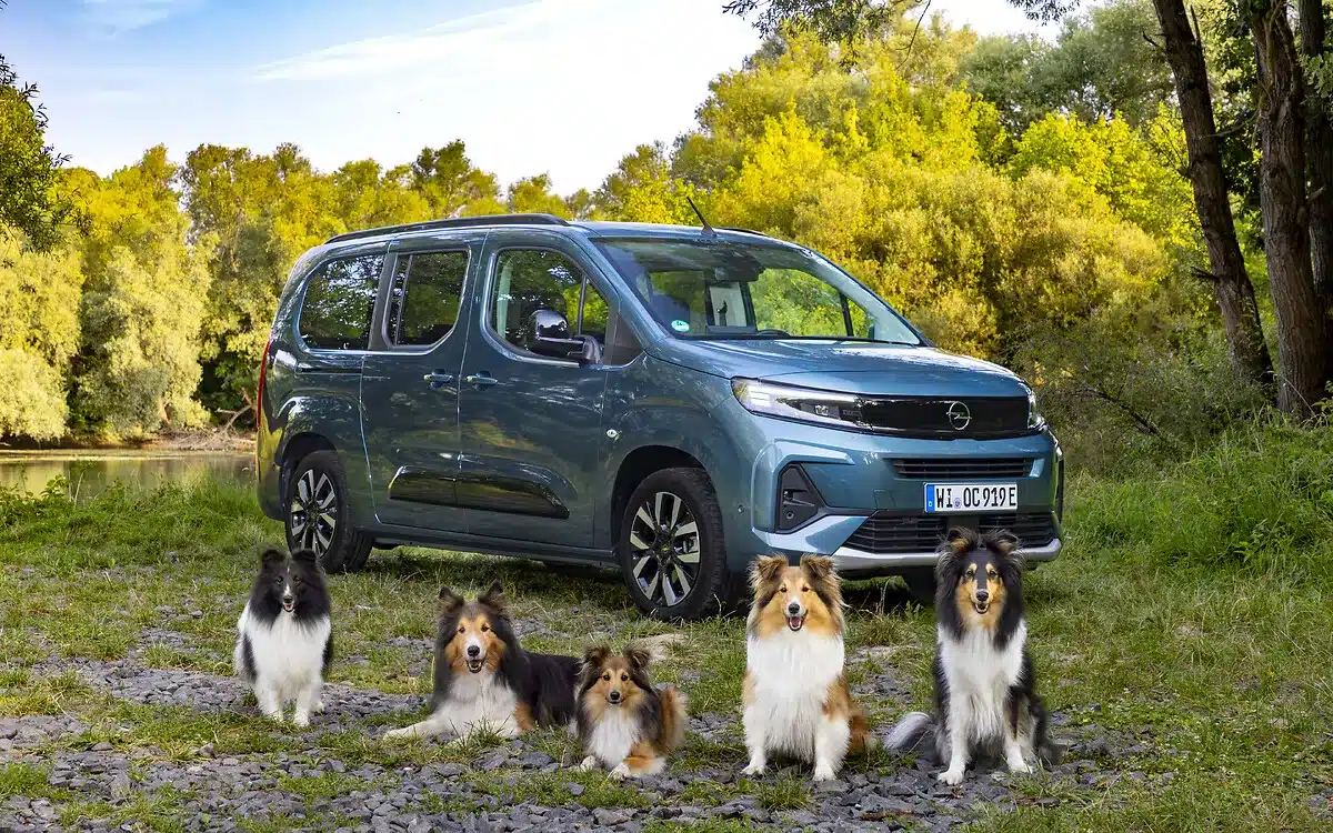 Opel Combo Electric Parkvan und fünf Shetland Sheepdogs auf einer Wiese am Flussufer