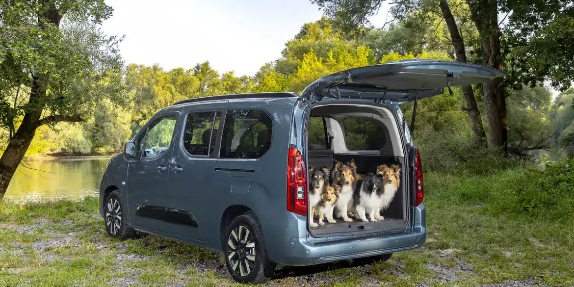 Opel Combo Electric mit geöffneter Heckklappe und fünf Hunden im Laderaum am Flussufer