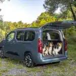 Opel Combo Electric mit geöffneter Heckklappe und fünf Hunden im Laderaum am Flussufer