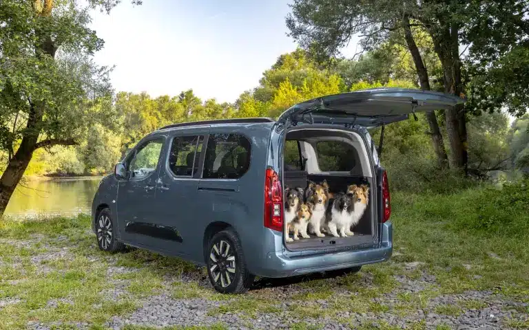 Opel Combo Electric mit geöffneter Heckklappe und fünf Hunden im Laderaum am Flussufer