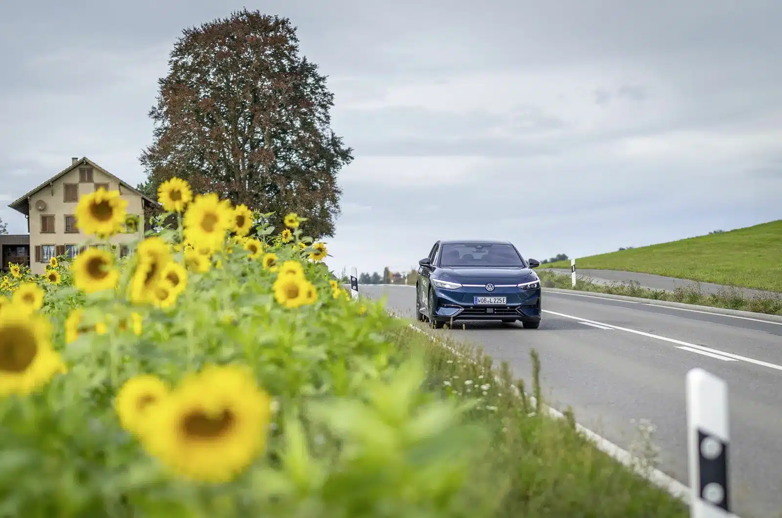 Volkswagen ID.7 Pro S fährt auf einer Landstraße an einem Sonnenblumenfeld vorbei, im Hintergrund ein Landhaus und ein großer Baum.