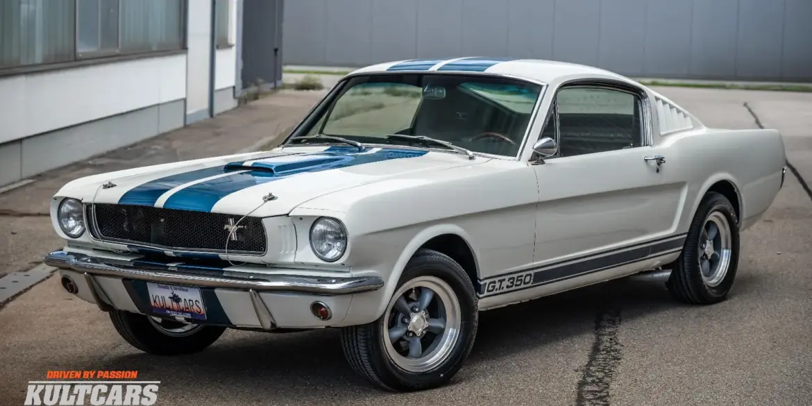 Ford Mustang Shelby GT 350 Tribute Coupé Baujahr 1965 in Weiß mit blauen Streifen, Frontansicht