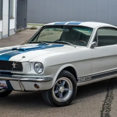 Ford Mustang Shelby GT 350 Tribute Coupé Baujahr 1965 in Weiß mit blauen Streifen, Frontansicht