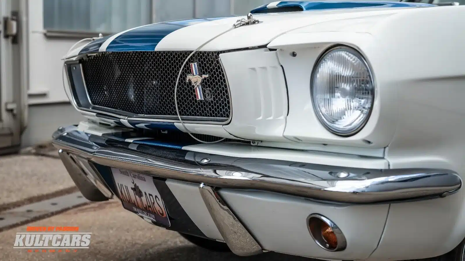 Ford Mustang Shelby GT 350 Tribute, Detailaufnahme der Frontpartie mit Kühlergrill, Scheinwerfer und Lemans-Streifen