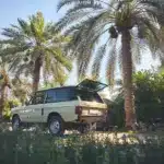 Range Rover Classic 1981 in Sahara Dust, geparkt unter Palmen, Heckansicht mit geöffneter Heckklappe.
