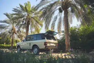 Range Rover Classic 1981 in Sahara Dust, geparkt unter Palmen, Heckansicht mit geöffneter Heckklappe.