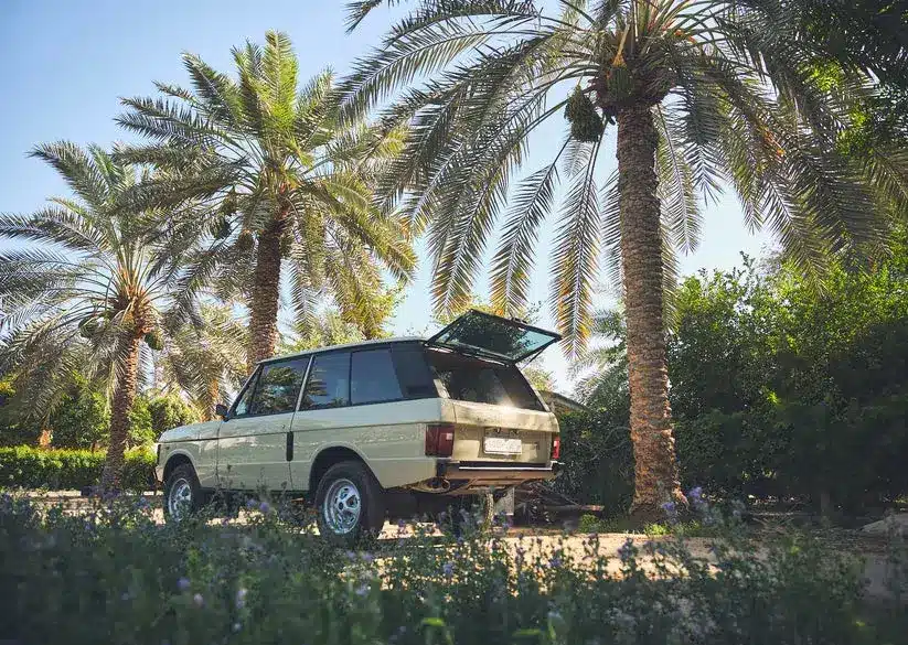 Range Rover Classic 1981 in Sahara Dust, geparkt unter Palmen, Heckansicht mit geöffneter Heckklappe.