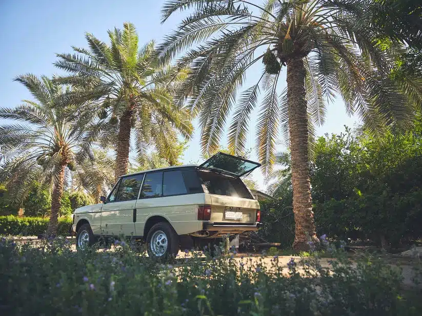 Range Rover Classic 1981 in Sahara Dust, geparkt unter Palmen, Heckansicht mit geöffneter Heckklappe.