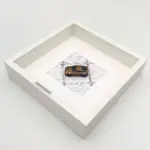 Handgefertigtes braunes Honda CRX 1:64 Modell in weißem Rahmen, dekorativ als Kunstobjekt präsentiert