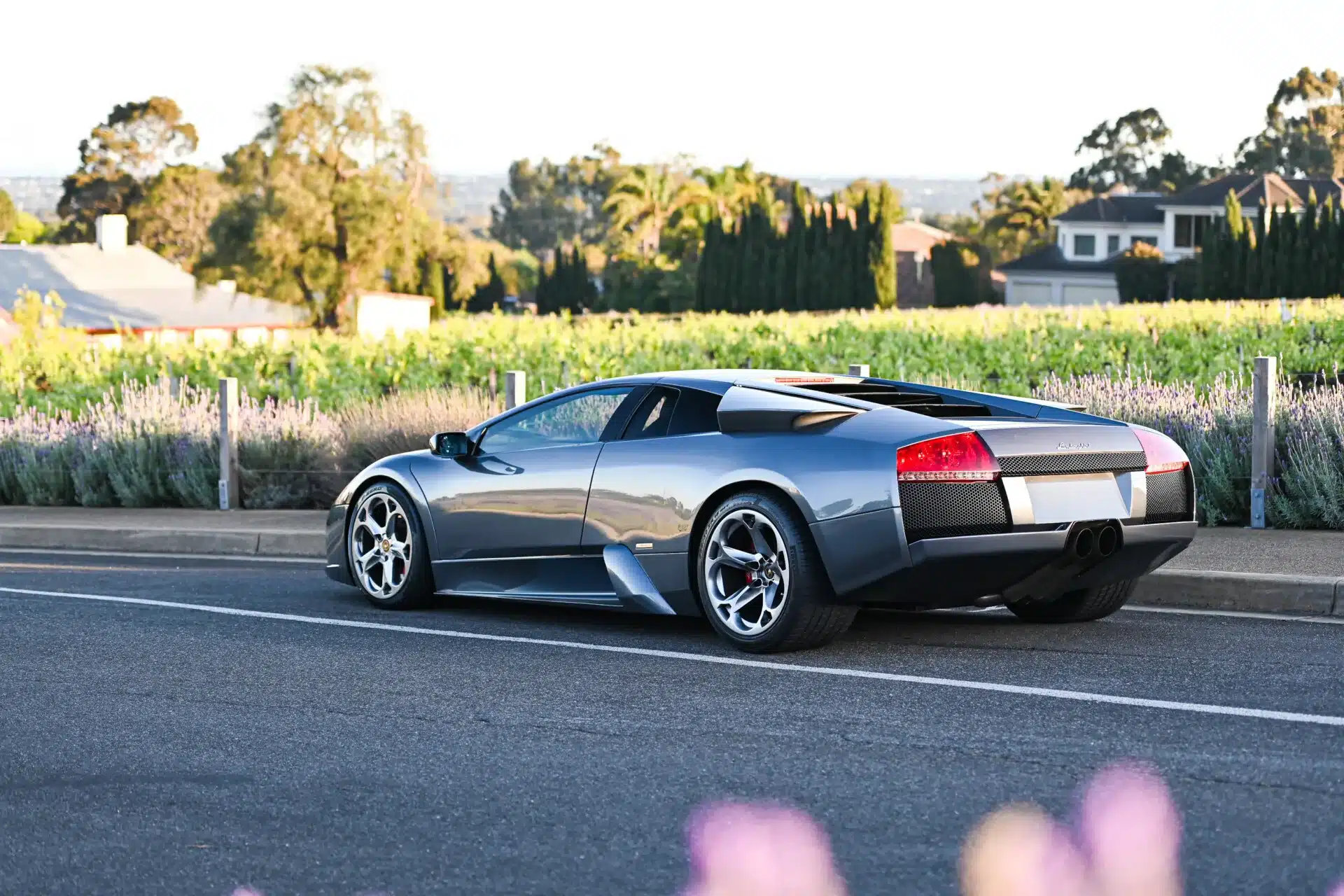 Lamborghini Murciélago in grauer Lackierung auf einer Landstraße, Seitensicht mit Hintergrund von Weinbergen und Häusern.
