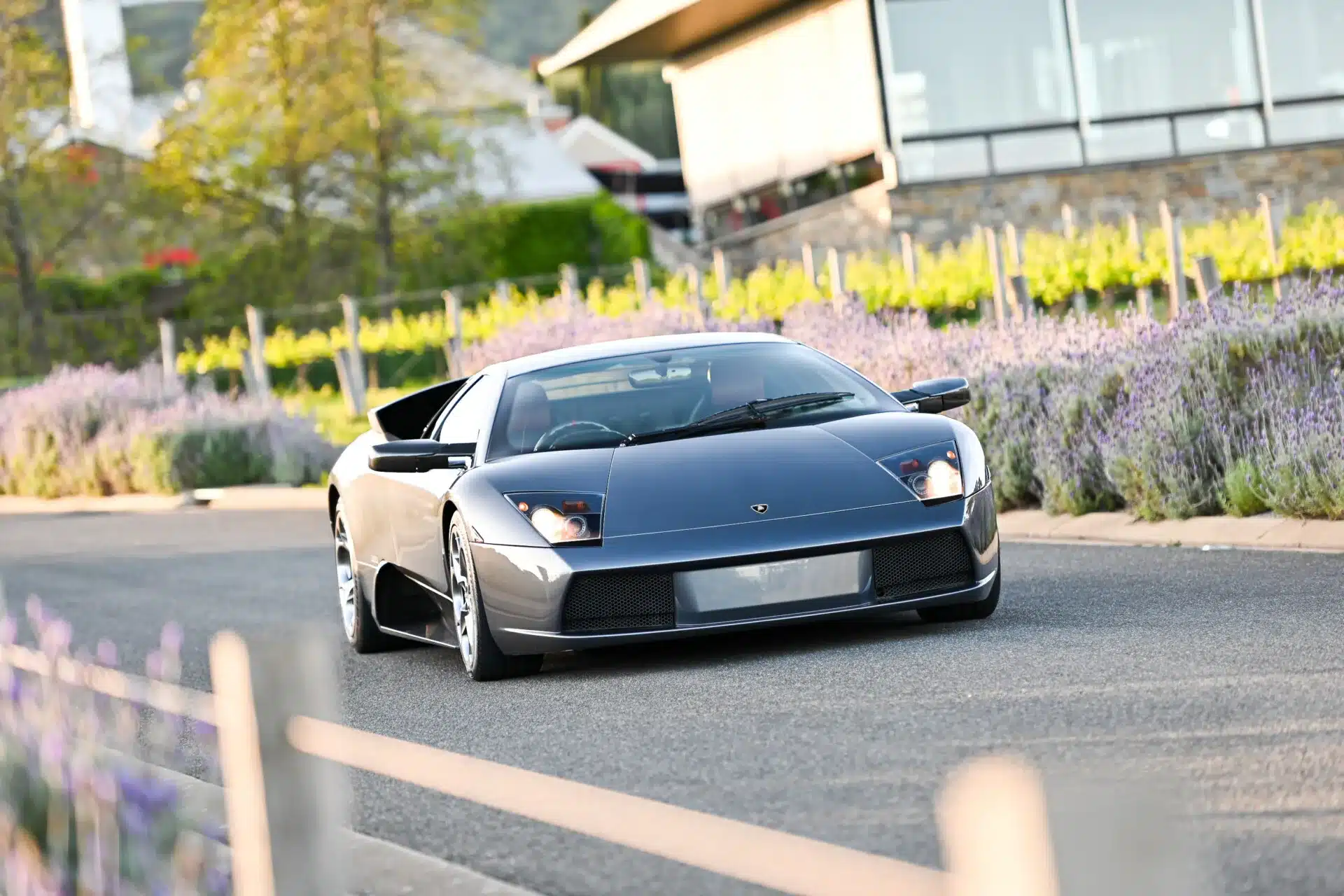 Ein grauer Lamborghini Murciélago des Modelljahrs 2004 fährt auf einer Straße, umgeben von blühendem Lavendel und moderner Architektur im Hintergrund.