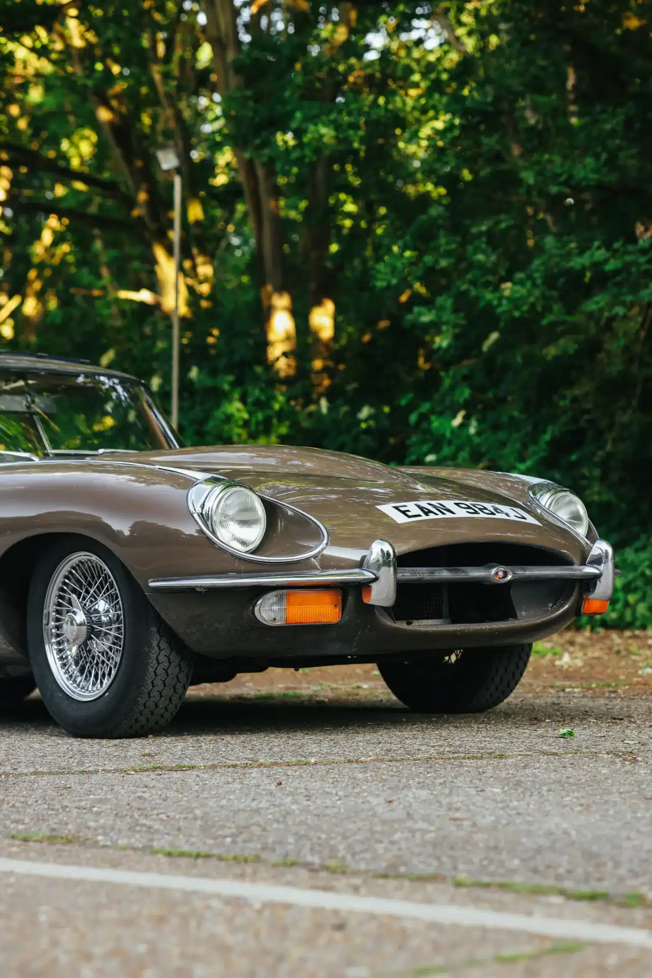 Brauner Jaguar E-Type Series 2 2+2 Coupé, Baujahr 1970, gut erhalten, fotografiert im Freien vor Bäumen.