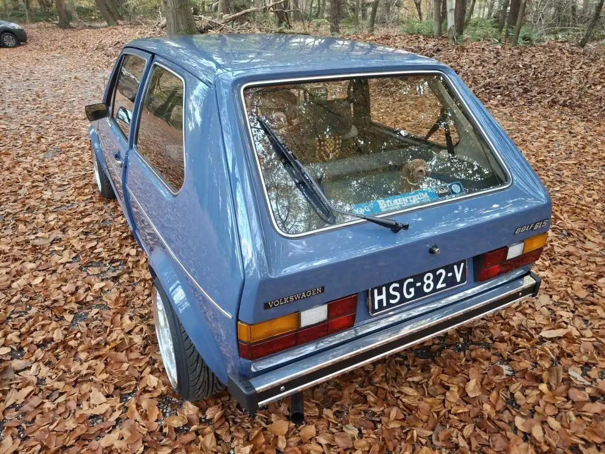 Vollständig restaurierter blauer Volkswagen Golf GLS aus dem Jahr 1981, fotografiert von hinten auf einer mit Herbstlaub bedeckten Lichtung.