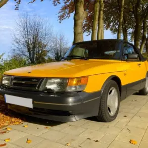 Gelber Youngtimer-Cabrio-Oldtimer steht auf herbstlicher Allee, gepflegter Zustand, klassische Linienführung.