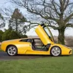 Gelber Lamborghini Murciélago 2002 mit geöffneten Scherentüren auf einer Wiese vor Bäumen.