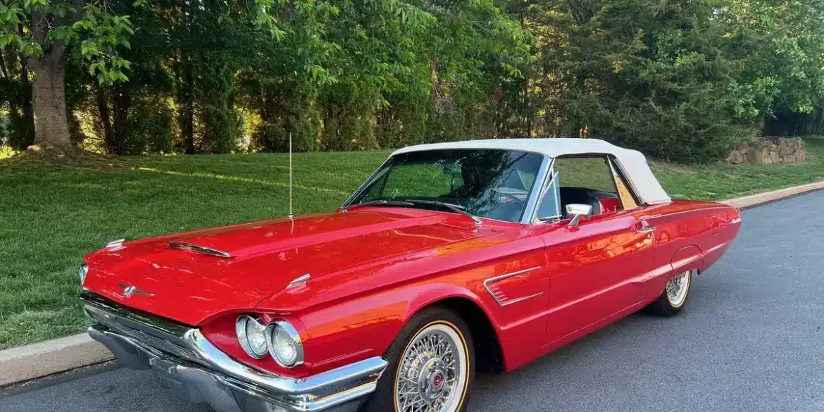 Klassischer Ford Thunderbird Cabriolet Baujahr 1965, rot mit weißem Verdeck, auf einer Asphaltstraße vor Bäumen geparkt.
