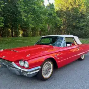Klassischer Ford Thunderbird Cabriolet Baujahr 1965, rot mit weißem Verdeck, auf einer Asphaltstraße vor Bäumen geparkt.