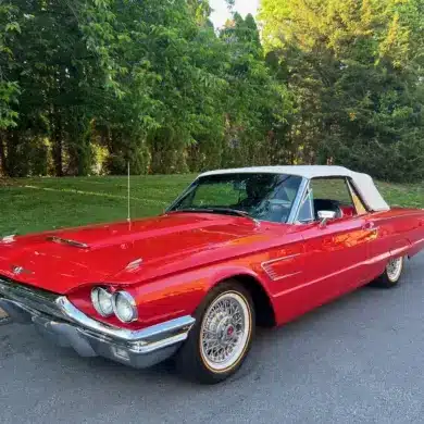 Klassischer Ford Thunderbird Cabriolet Baujahr 1965, rot mit weißem Verdeck, auf einer Asphaltstraße vor Bäumen geparkt.
