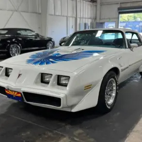 Pontiac Firebird Trans Am 1979, weiß, mit blauer Adler-Grafik, steht in einer Halle