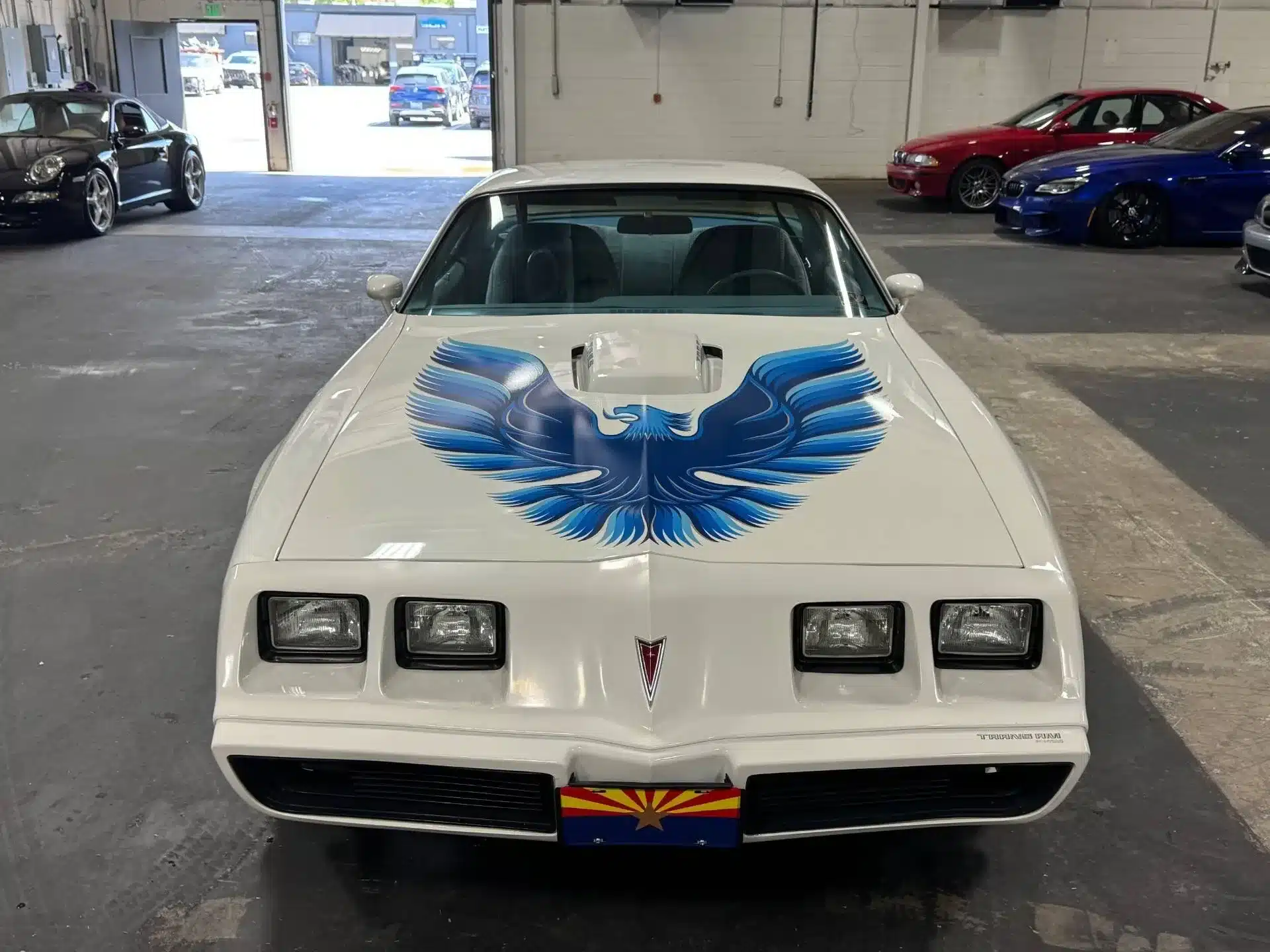 Frontansicht eines weißen Pontiac Firebird Trans Am von 1979 mit blauem Firebird-Motiv auf der Motorhaube in einer Halle.