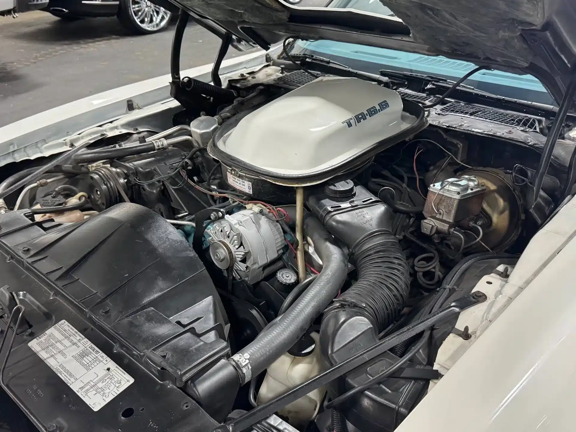 Blick in den Motorraum eines Pontiac Firebird 1979 mit geöffneter Haube, deutliche Ansicht des TA 6.6-Liter-V8-Motors.