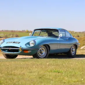 Jaguar E-Type 4.2 Series 2 Fixed Head Coupé von 1969 in Light Blue auf einer Wiese