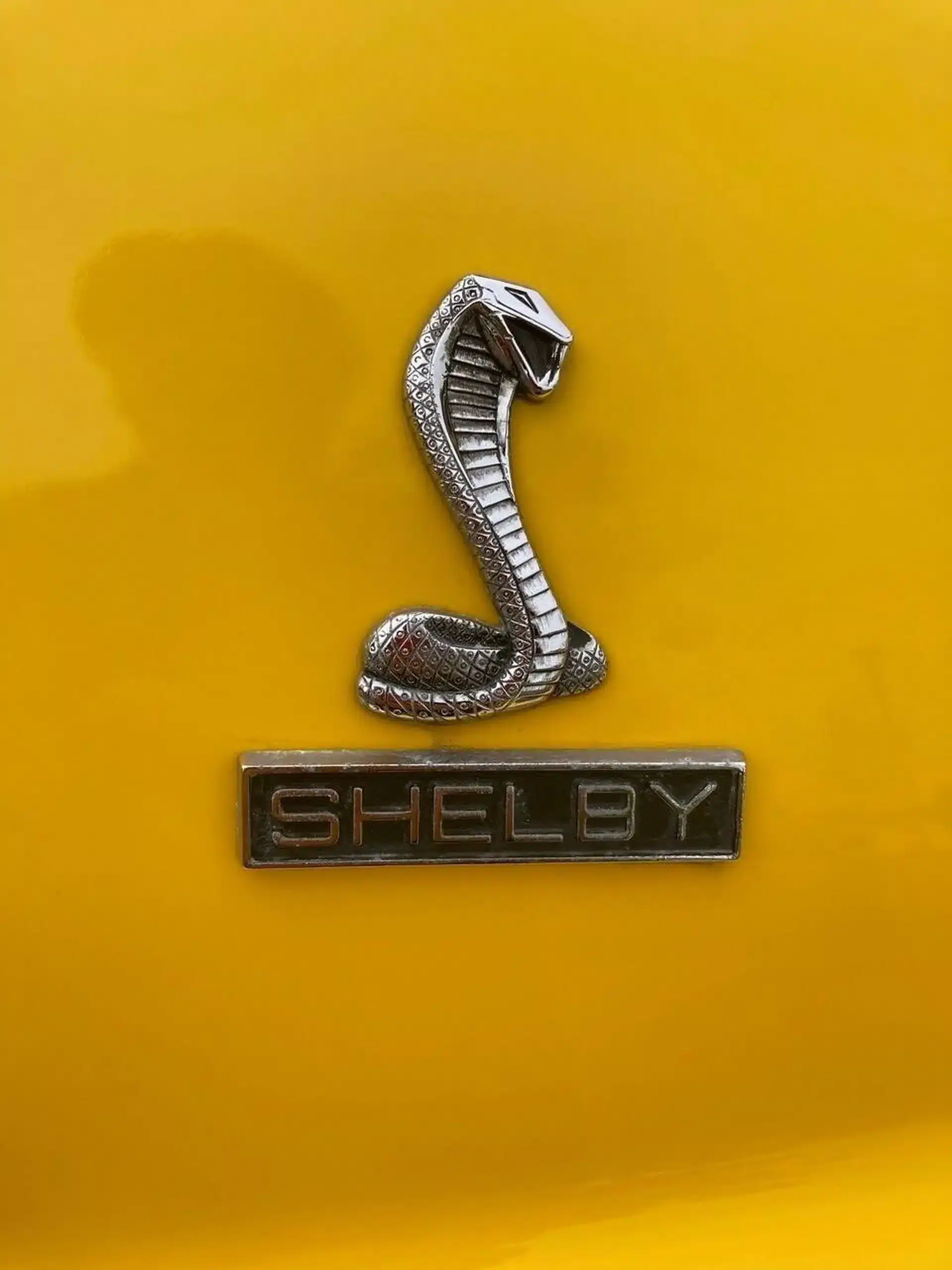 Shelby-Emblem auf gelbem Auto, Detailaufnahme