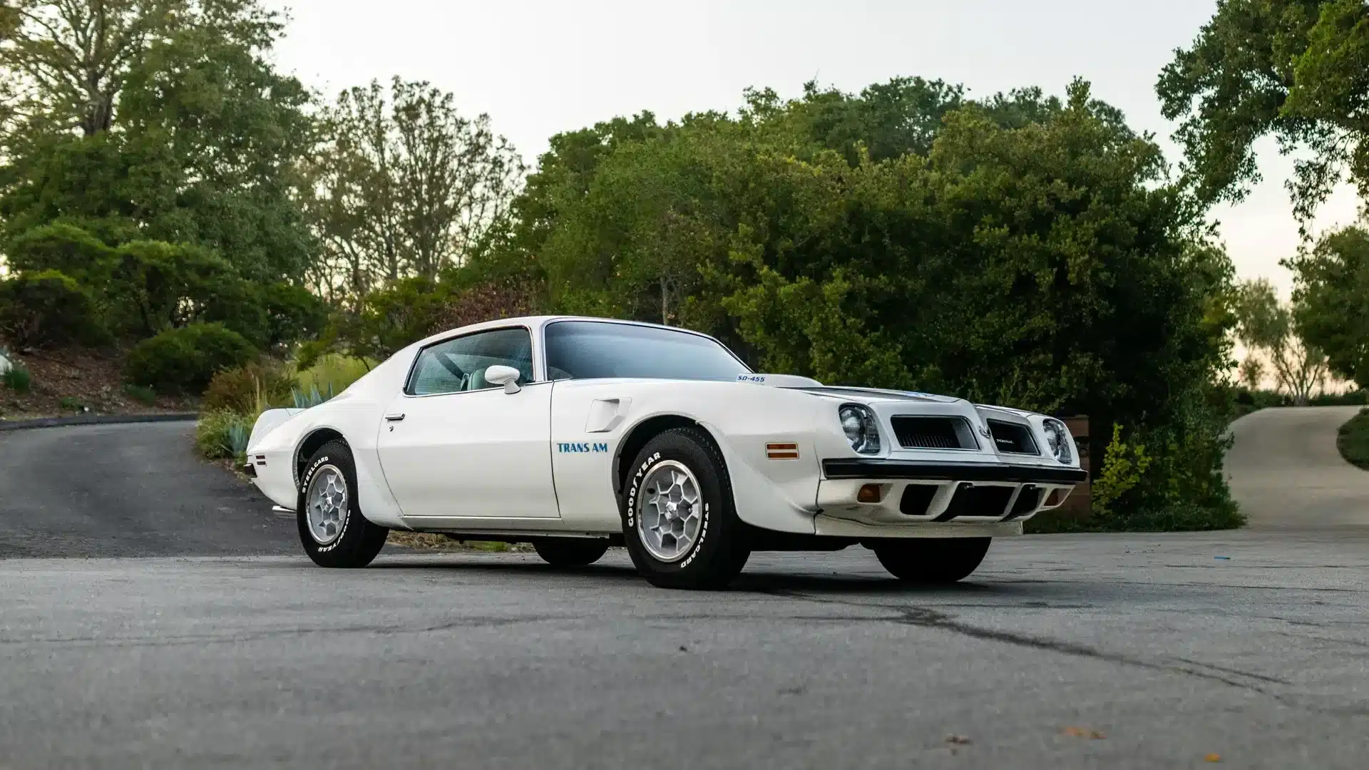 Weißer Pontiac Trans Am SD-455 von 1974 im Originalzustand, seitlich fotografiert auf einer ruhigen Straße vor grüner Naturkulisse.