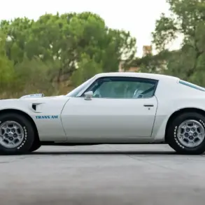 Seitenansicht eines weißen Pontiac Trans Am SD-455 von 1974 mit blauer "Trans Am" Beschriftung und SD-455 Haube, stehend auf einer Straße im Grünen.