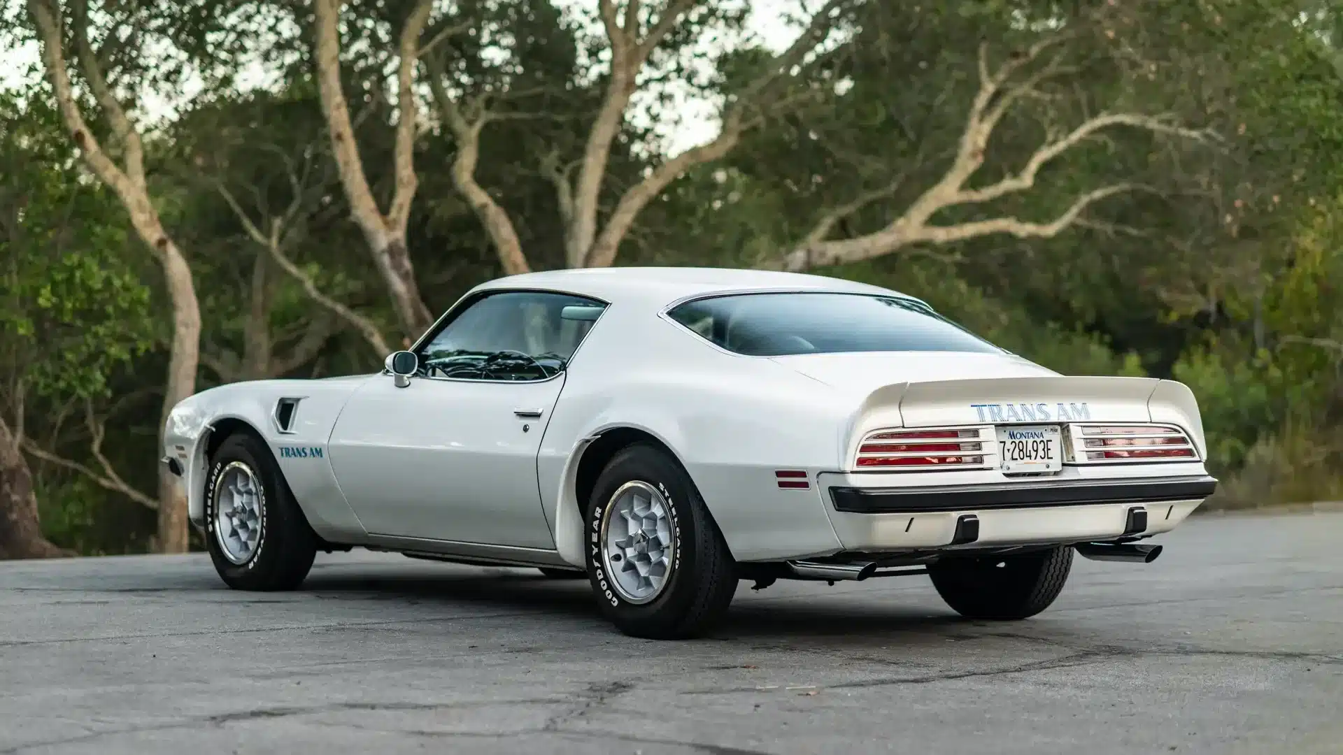 Weißer Pontiac Trans Am SD-455 von 1974 mit blauem Trans-Am-Schriftzug und Rally-II-Rädern, Heckansicht.