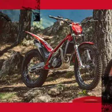 GASGAS TXT Racing 280 Motorrad im Wald auf felsigem Untergrund