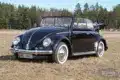Frontansicht eines restaurierten schwarzen Volkswagen Käfer Cabriolets 1200 Baujahr 1956, mit geöffnetem Verdeck auf einer Wiese stehend.