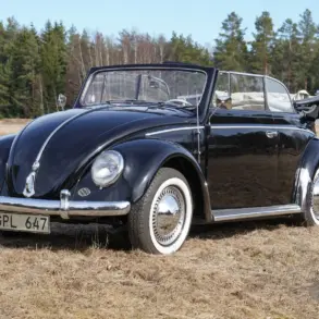 Frontansicht eines restaurierten schwarzen Volkswagen Käfer Cabriolets 1200 Baujahr 1956, mit geöffnetem Verdeck auf einer Wiese stehend.