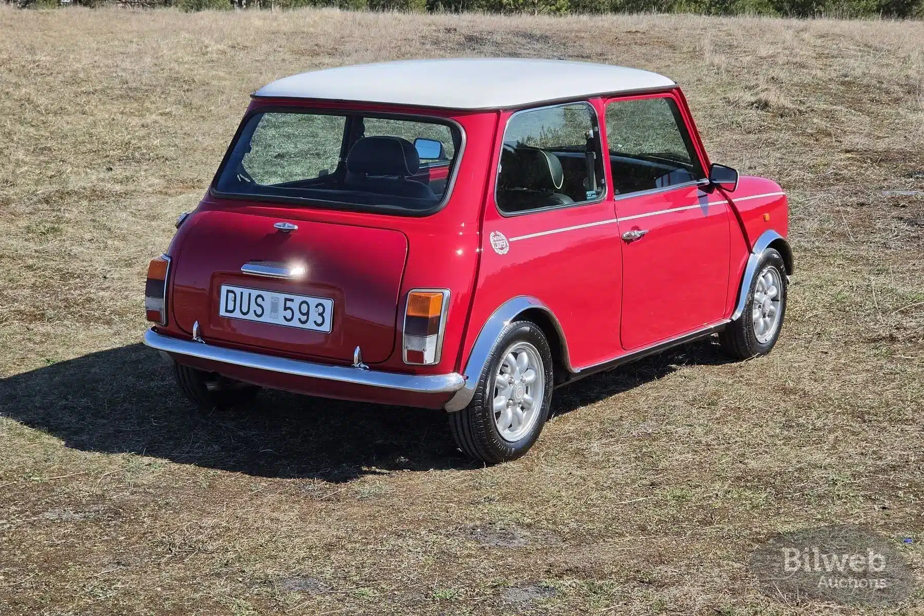 Roter Rover Mini Cooper Baujahr 1997, Heckansicht mit schwedischem Kennzeichen auf Wiese