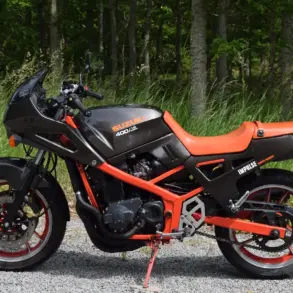 Seitliche Ansicht einer Suzuki GSX 400X Impulse von 1989 mit rotem Rahmen und schwarzem Tank, fotografiert vor grünem Waldhintergrund.