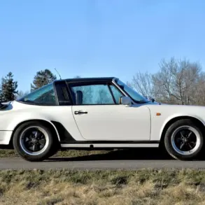 Weißer Porsche 911 SC Targa 3,0, Baujahr 1981, seitlich fotografiert, mit schwarzem Targa-Bügel und Fuchs-Felgen auf einer Landstraße vor natürlicher Kulisse.