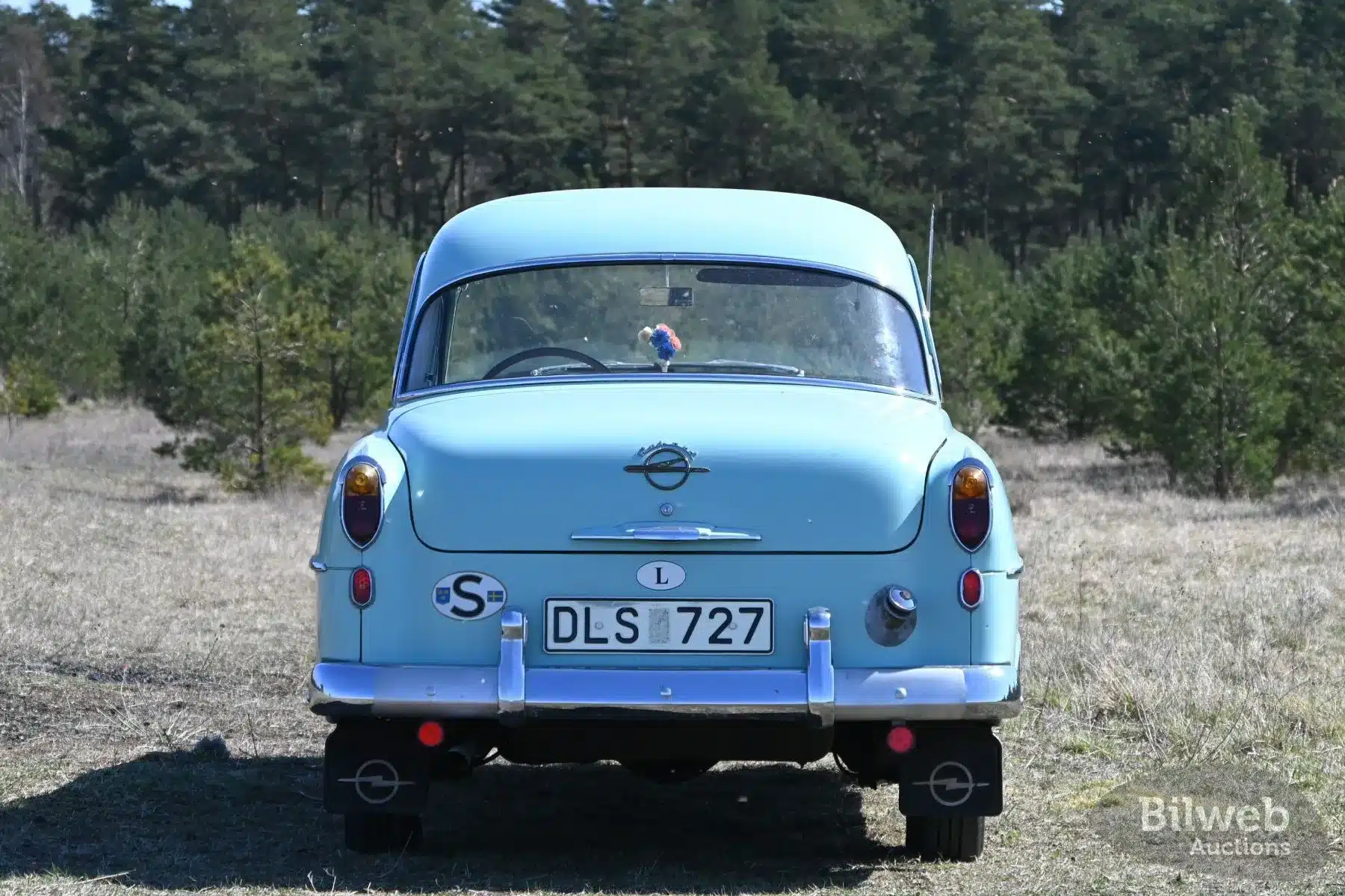 Opel Olympia Rekord 1,5 von 1956 in Hellgrün, originaler Zustand, fotografiert von hinten auf einer Wiese