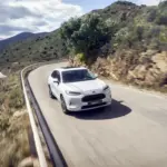 Weißer Honda ZR-V e:HEV fährt auf kurvenreicher Bergstraße, umgeben von Natur und Felsen.