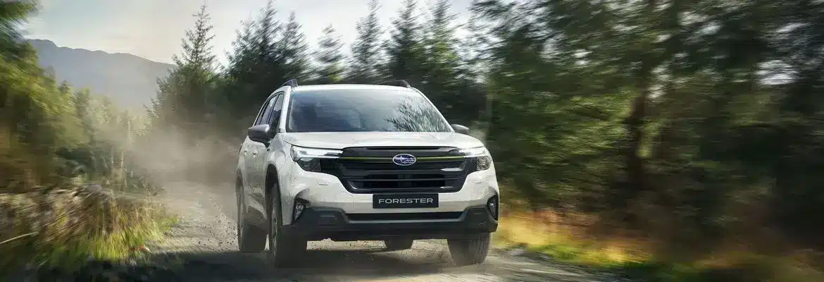 Subaru Forester e-BOXER, weiß, fährt auf einem unbefestigten Weg durch einen Wald.
