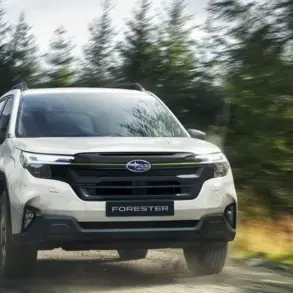 Subaru Forester e-BOXER, weiß, fährt auf einem unbefestigten Weg durch einen Wald.