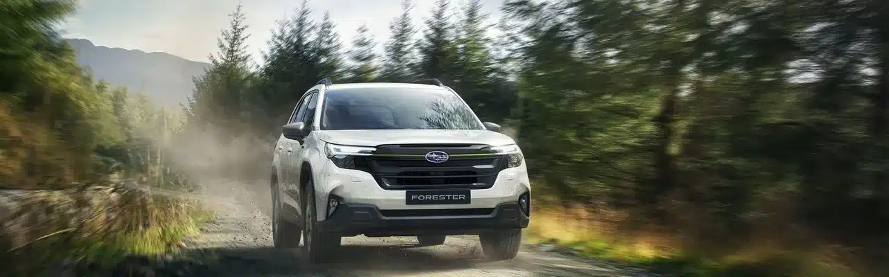 Subaru Forester e-BOXER, weiß, fährt auf einem unbefestigten Weg durch einen Wald.