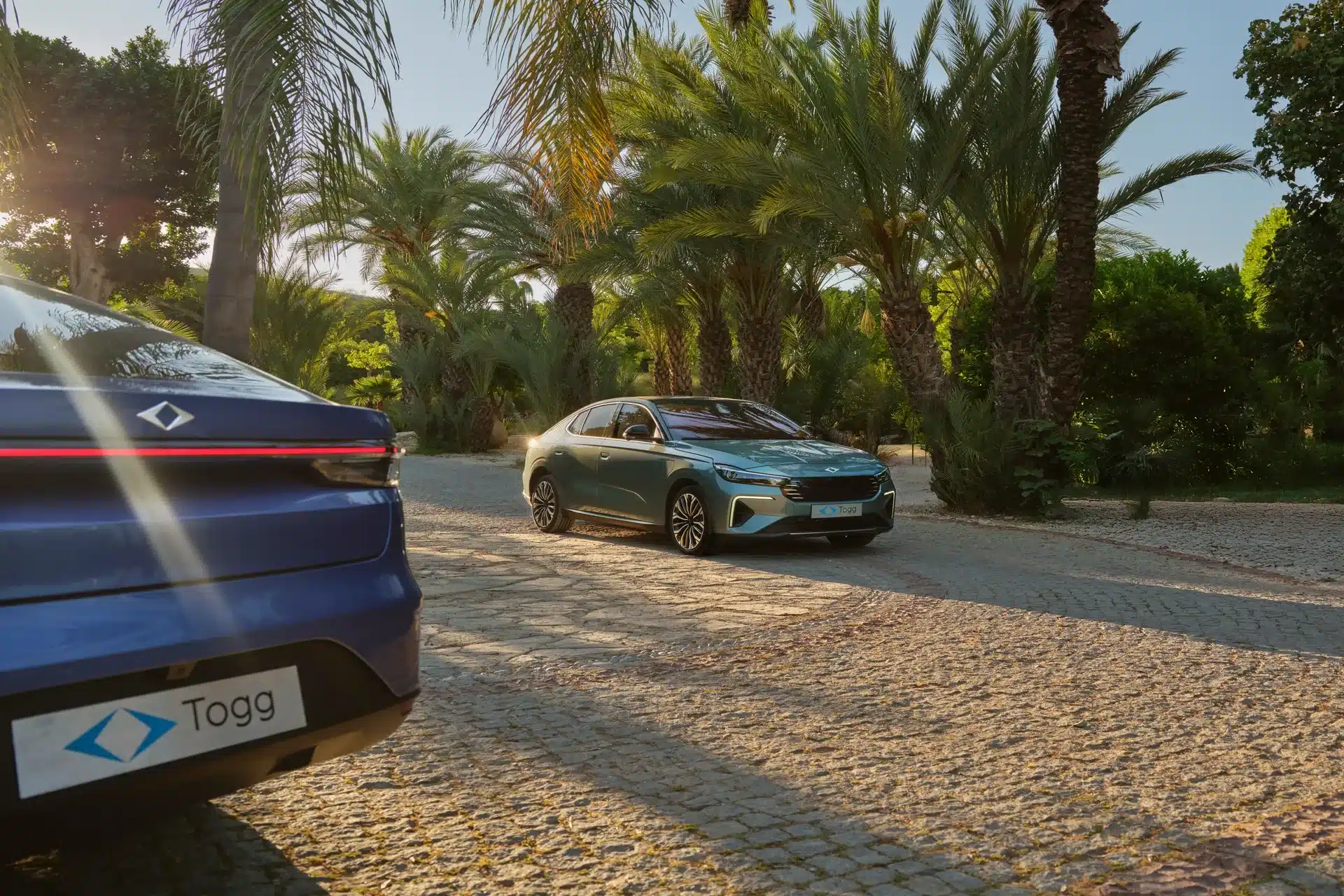 Zwei Togg T10F Elektroautos in türkisgrün und blau auf einer von Palmen gesäumten Allee bei Sonnenlicht.