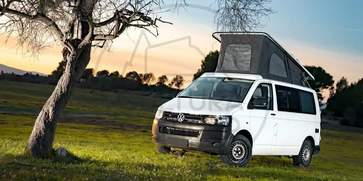 Weißer Volkswagen T6 Campervan mit offenem Aufstelldach steht auf einer grünen Wiese neben einem Baum bei Sonnenuntergang
