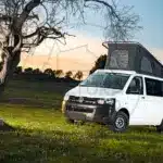 Weißer Volkswagen T6 Campervan mit offenem Aufstelldach steht auf einer grünen Wiese neben einem Baum bei Sonnenuntergang