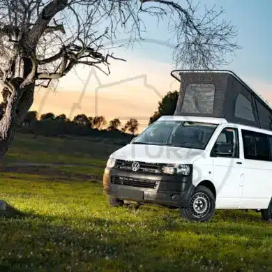 Weißer Volkswagen T6 Campervan mit offenem Aufstelldach steht auf einer grünen Wiese neben einem Baum bei Sonnenuntergang